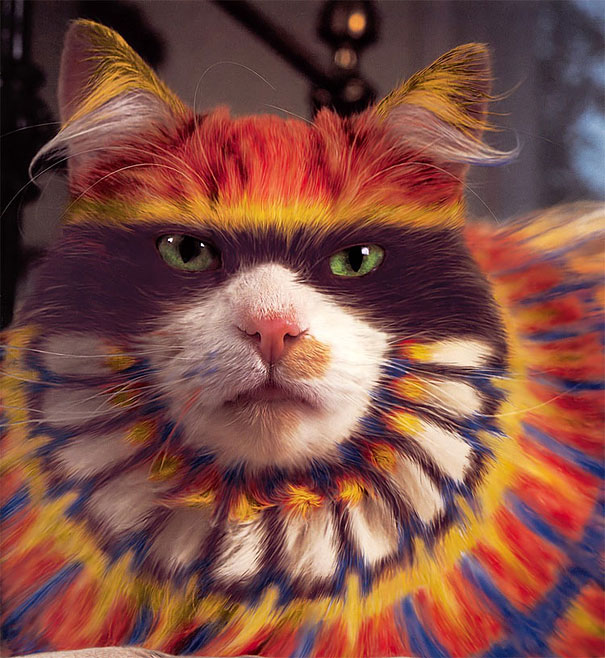 Controversial Pictures of Painted Cats