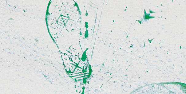 Pedestrian Crossing in China Turns Pedestrian Footsteps Into Leaves Pedestrian Crossing in China Turns Pedestrian Footsteps Into Leaves