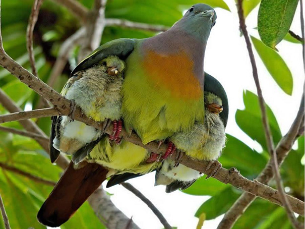 50 Perfectly Timed Animal Photos 50 Perfectly Timed Animal Photos