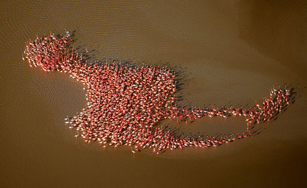 36 More Perfectly Timed Photos 36 More Perfectly Timed Photos