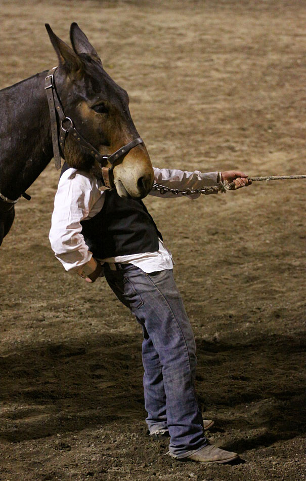 36 More Perfectly Timed Photos 36 More Perfectly Timed Photos