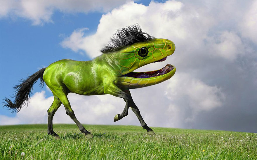 15 New Animal Species Bred in Photoshop 15 New Animal Species Bred in Photoshop