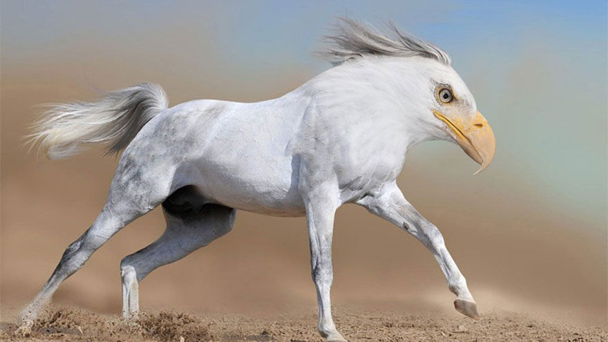 15 New Animal Species Bred in Photoshop 15 New Animal Species Bred in Photoshop