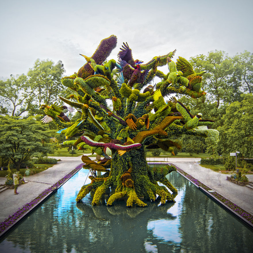 Amazing Plant Sculptures at the Montreal Mosaiculture Exhibition 2013