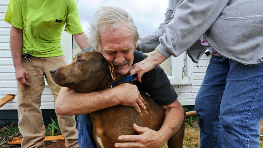 Emotional reunion of a man and his dog after a natural disaster, showcasing powerful images of love and resilience. Emotional reunion of a man and his dog after a natural disaster, showcasing powerful images of love and resilience.
