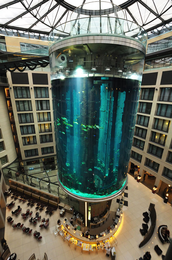 World’s Largest Cylindrical Aquarium at Radisson Blu Hotel Berlin World’s Largest Cylindrical Aquarium at Radisson Blu Hotel Berlin