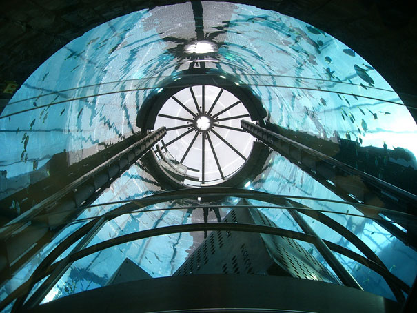World’s Largest Cylindrical Aquarium at Radisson Blu Hotel Berlin