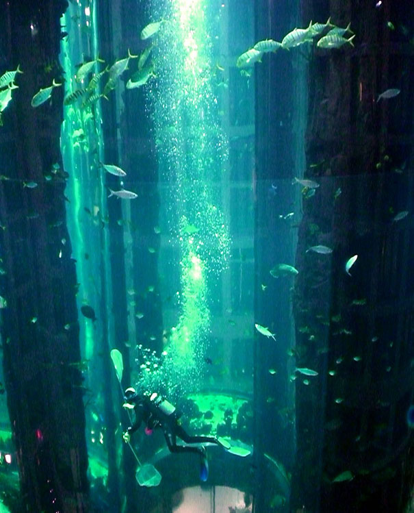 World’s Largest Cylindrical Aquarium at Radisson Blu Hotel Berlin