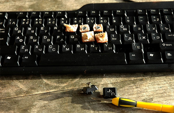 Real Birds Tweet on Twitter Real Birds Tweet on Twitter