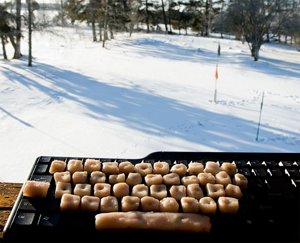 Real Birds Tweet on Twitter Real Birds Tweet on Twitter