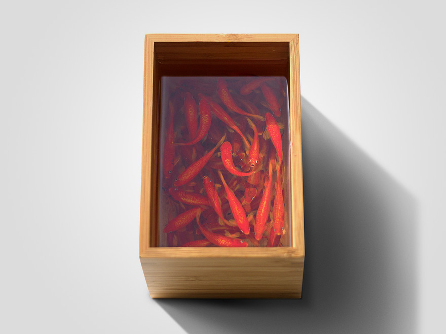 Photorealistic 3D Paintings of Sea Creatures by Keng Lye