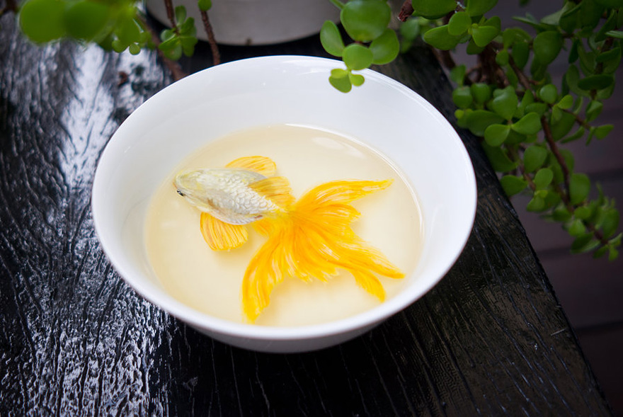 Photorealistic 3D Paintings of Sea Creatures by Keng Lye