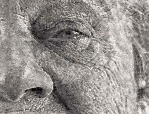 Portrait Made of Thousands of Fingerprints