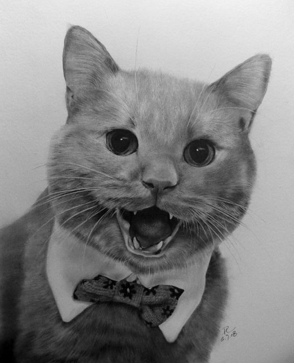 Incredibly Realistic Pencil Drawings by Paul Lung