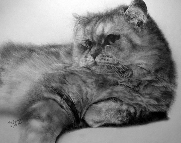 Incredibly Realistic Pencil Drawings by Paul Lung