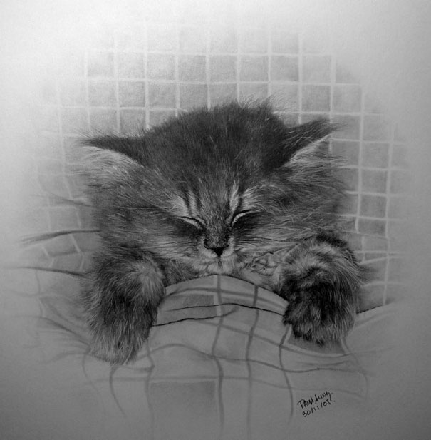 Incredibly Realistic Pencil Drawings by Paul Lung