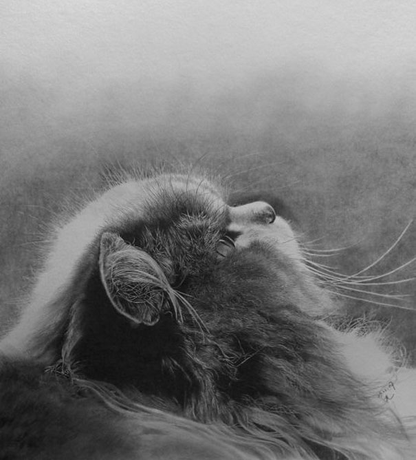 Incredibly Realistic Pencil Drawings by Paul Lung