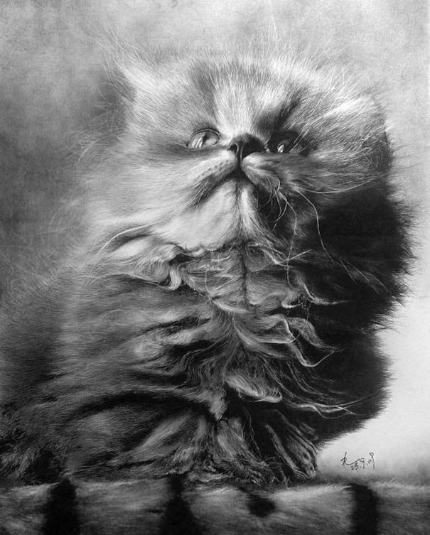 Incredibly Realistic Pencil Drawings by Paul Lung