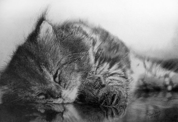 Hyper-realistic artwork of a kitten sleeping, appearing almost like a real photo. Hyper-realistic artwork of a kitten sleeping, appearing almost like a real photo.