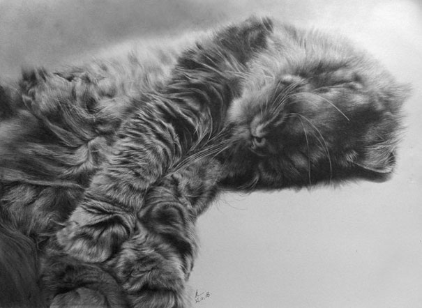 Incredibly Realistic Pencil Drawings by Paul Lung