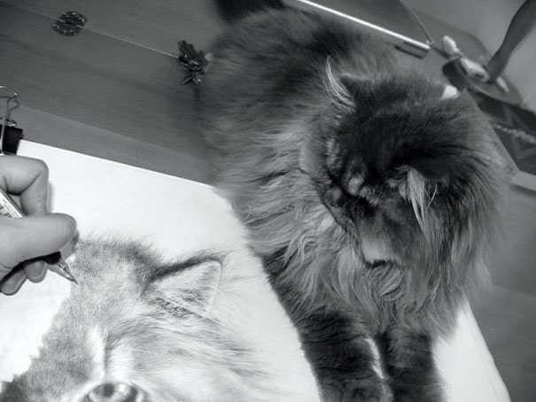 Incredibly Realistic Pencil Drawings by Paul Lung