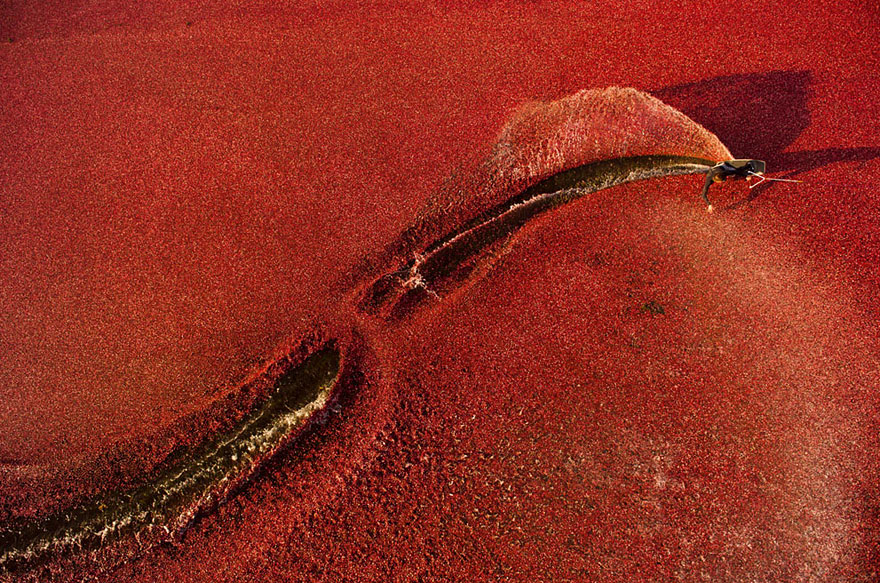 20 Award-Winning Action Photos from the 2013 Red Bull Illume Photo Contest