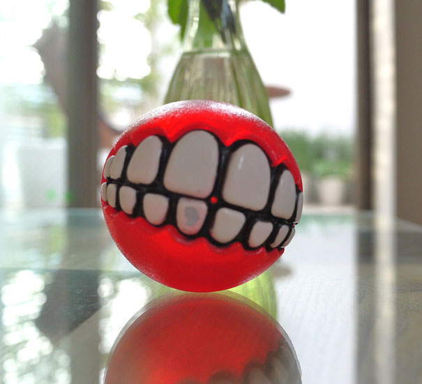 Funny Fetch Ball Gives Your Dog a Hilarious Grin Funny Fetch Ball Gives Your Dog a Hilarious Grin