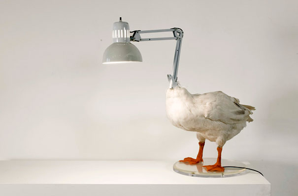 21 Cool Product Ideas by Sebastian Errazuriz 21 Cool Product Ideas by Sebastian Errazuriz