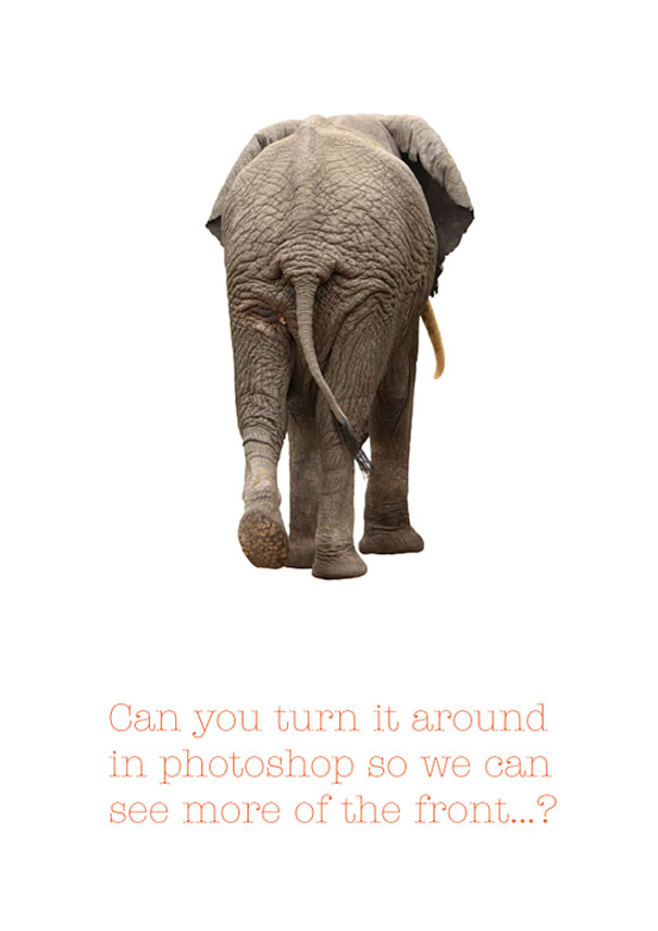 Worst Client Comments Turned Into Posters Worst Client Comments Turned Into Posters