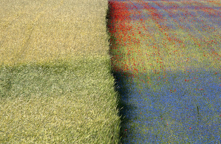 33 Breathtaking Photos from 2013 Sony World Photography Awards