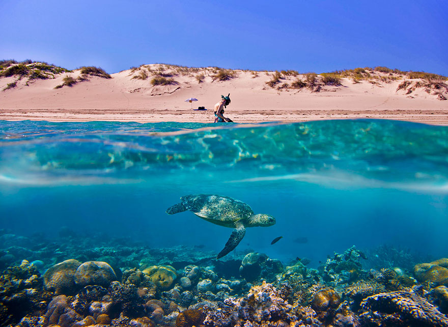 33 Breathtaking Photos from 2013 Sony World Photography Awards