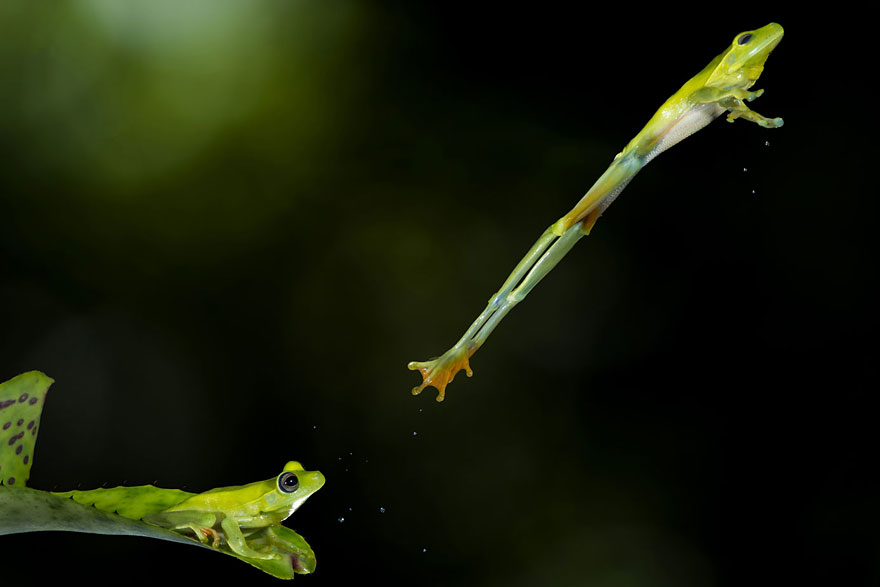 33 Breathtaking Photos from 2013 Sony World Photography Awards