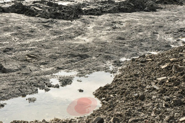 Creative Street Art by Sandrine Boulet Creative Street Art by Sandrine Boulet