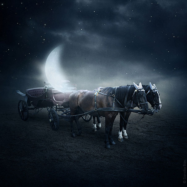 21 New Photo Manipulations by Sarolta Ban