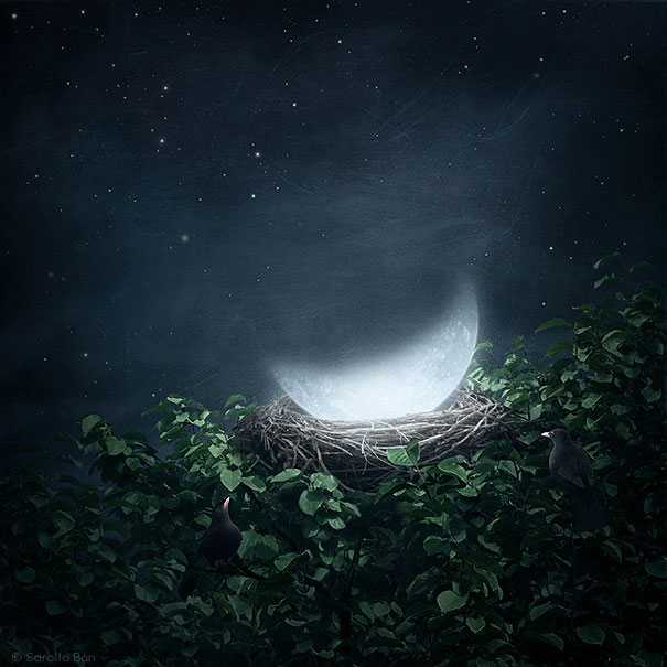 21 New Photo Manipulations by Sarolta Ban 21 New Photo Manipulations by Sarolta Ban