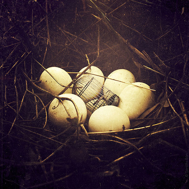 21 New Photo Manipulations by Sarolta Ban