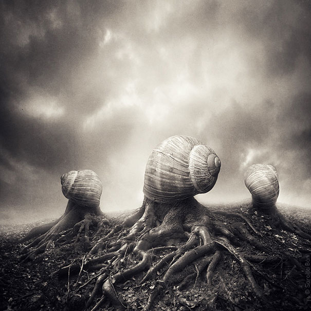 21 New Photo Manipulations by Sarolta Ban