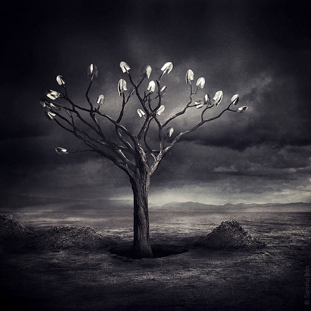 21 New Photo Manipulations by Sarolta Ban