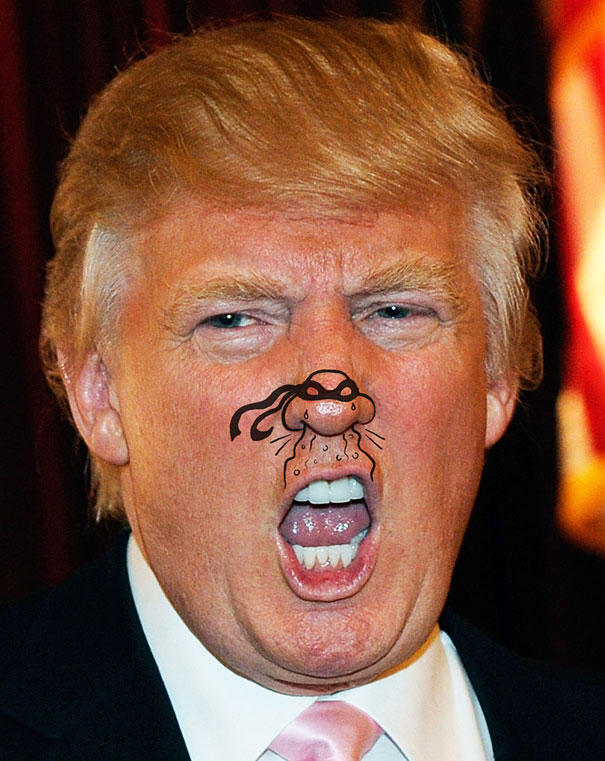 Your Nose is a Teenage Mutant Ninja Turtle!