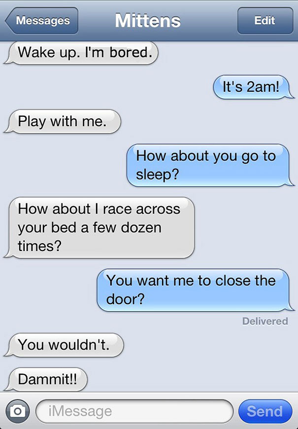 text-from-mittens-angie-bailey-30