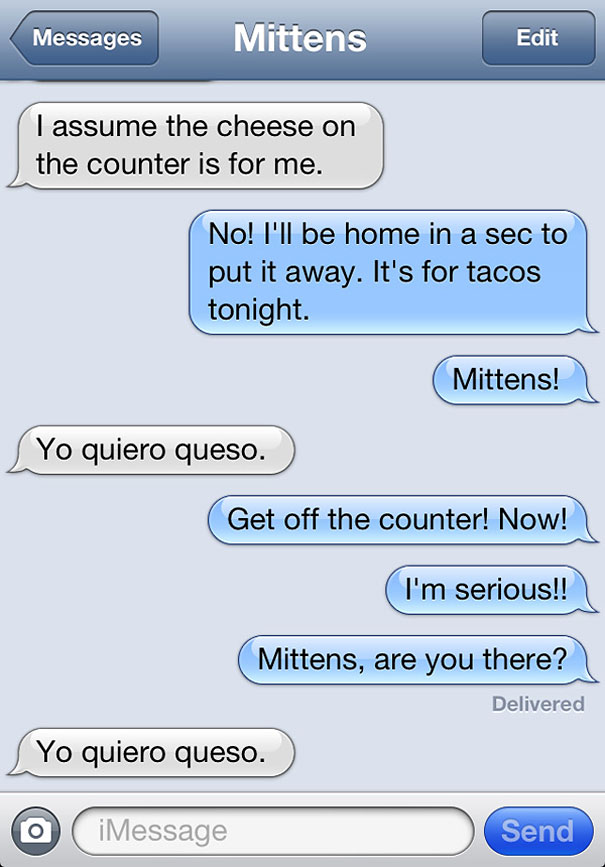 text-from-mittens-angie-bailey-35