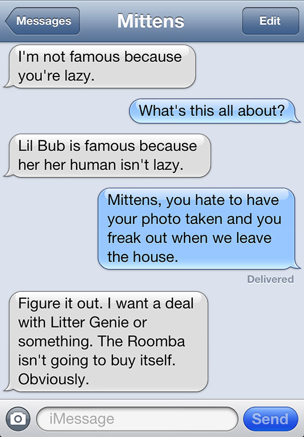 text-from-mittens-angie-bailey-43