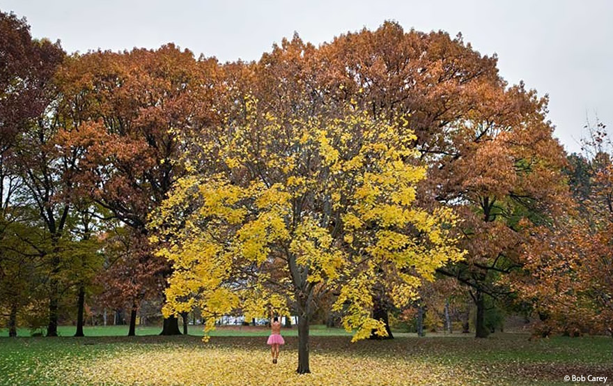 Man Puts On A Pink Tutu And Travels The World To Bring A Smile To His Wife Fighting Breast Cancer Man Puts On A Pink Tutu And Travels The World To Bring A Smile To His Wife Fighting Breast Cancer