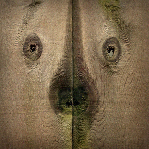 26 Faces in Everyday Objects