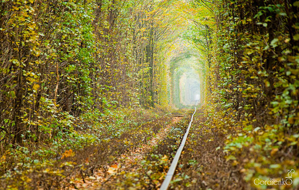 Tunnel Of Love in Ukraine