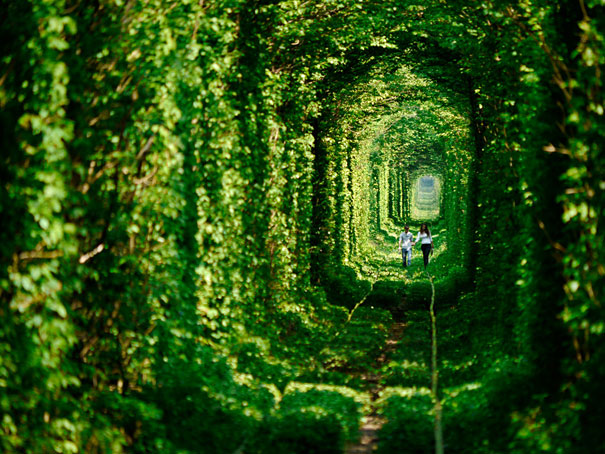 Tunnel Of Love in Ukraine Tunnel Of Love in Ukraine