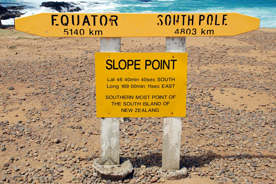 Extreme Antarctic Winds Shape Trees Into Beautiful Forms on Slope Point, New Zealand Extreme Antarctic Winds Shape Trees Into Beautiful Forms on Slope Point, New Zealand