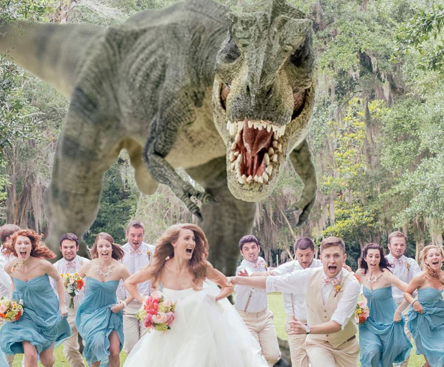 Probably The Best Wedding Photo Ever