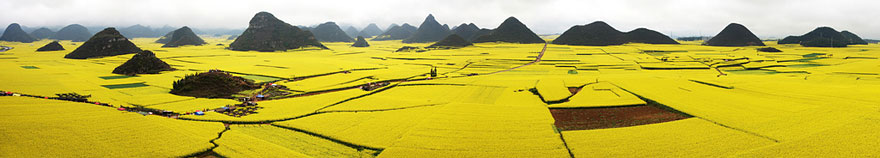 Vibrant yellow canola fields stretch across a vast landscape with hills in the background, one of the unbelievable places to visit. Vibrant yellow canola fields stretch across a vast landscape with hills in the background, one of the unbelievable places to visit.