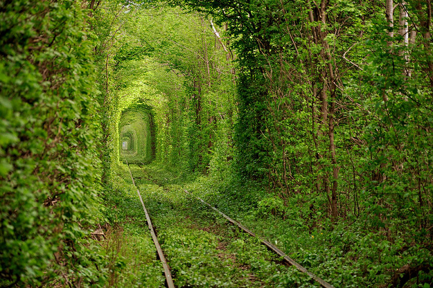 Lush green tunnel of trees over railway tracks, an unbelievable place to visit. Lush green tunnel of trees over railway tracks, an unbelievable place to visit.